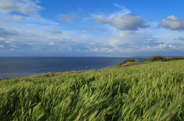 Scenic View, Palos Verdes Peninsula, South Bay of Los Angeles County, California