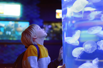 Little boy watches jellyfishes in seaquarium.