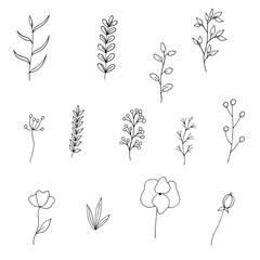 Set of simple flowers, branches and leaves in doodle style without fill. Contour plants. Isolated objects on a white background. Vector stock illustration.