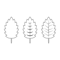 Set of leaves isolated on a white background.Contour drawing.Leaves with veins.Botanical illustration.Vector