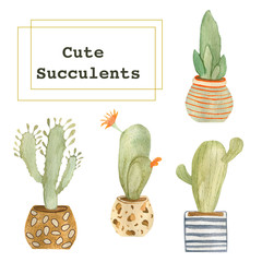 Watercolor illustration of a set of green cactus in a pot. Drawn in watercolor by hand and is suitable for all types of design and printing.