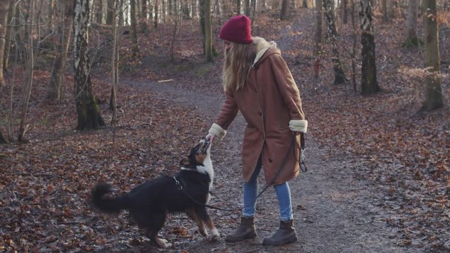 Danish girl playing outdoor in forest with her puppy crazy dog,real time