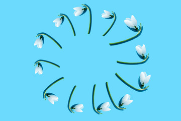 Fototapeta na wymiar Pattern of beautiful white snowdrops Galanthus nivalis on a light blue background in the form of a floral sunny circle with copy space. Top view, flat lay
