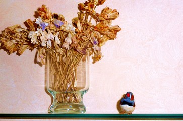 bouquet di fiori in vaso con vicino un esemplare di maschio in libertà di Taeniopygia Guttata...