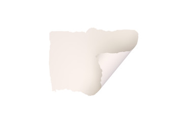 3D Rendering of Little Torned Paper on White