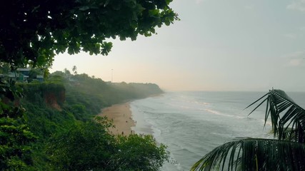4k Aerial Fly though Forward shot in between coconut trees of people playing at Varkala cliff beach, waves crashing at the shore in the morning.