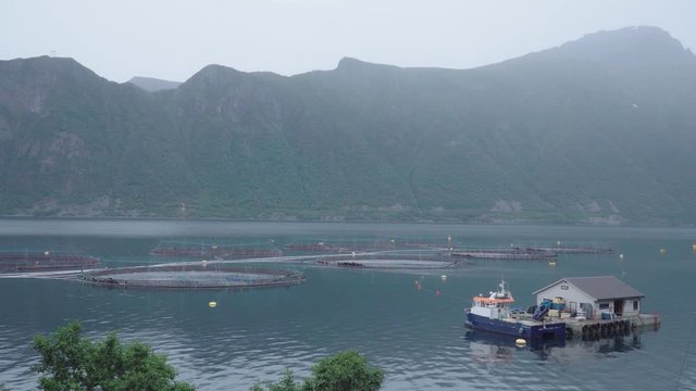 small salmon farm in norwegian fjord - static shot of sea food industry with no people