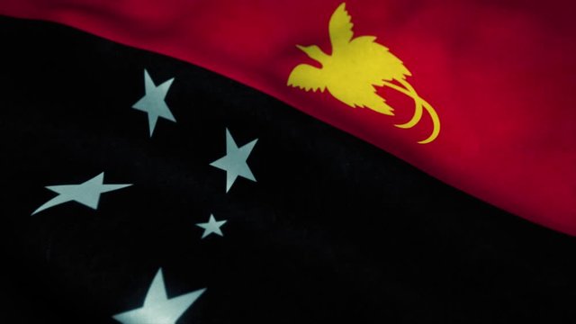 Papua New Guinea flag waving in the wind. National flag of Papua New Guinea. Sign of Papua New Guinea seamless loop animation. 4K