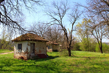 an old abandoned house in the green