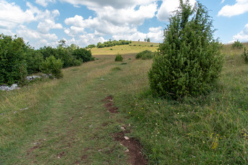 Fototapeta premium Nature Reserve Uvac