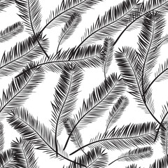 Abstract seamless pattern with chaotic palm leaves like feathers. Repeated background with black elements on a white background. Vector illustration. Stylish print that can be used for cover, postcard