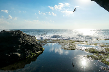 Fototapeta na wymiar Cliffs in the nearby of Tanah Lot Temple, Bali, Indonesia. The waves are splashing on the cliffs and smaller rocks. Water stays on the flat surfaces. Power of the nature. Bird flying around