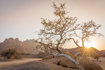 The Pondoks near the Spitzkoppe mountain in Namibia in Africa.