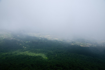 green fields among the fog in a valley whit forest.