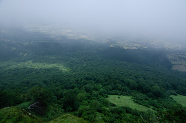 green fields among the fog in a valley with a forest and many trees