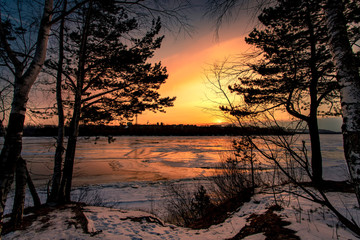 Sunset on a frozen river with pine trees in winter season.