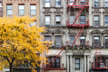 New York City fall street scene with golden tree in front of old building in the East Village
