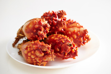 Fresh sea squirt on white background 