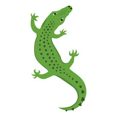 Reptile Lizard or Alligator crocodile top view, wild animal vector isolated