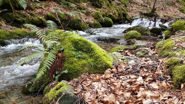 v&iacute;deo de agua de un r&iacute;o y arrollo para m&uacute;sica relajante