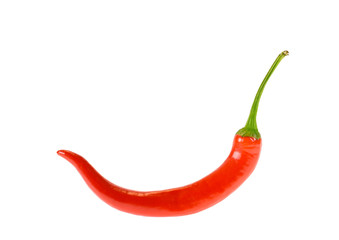 One red chili pepper isolated on white background