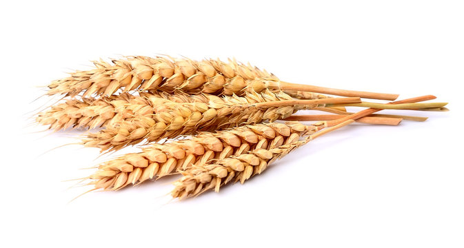 小麦 の画像 5 124 927 件の Stock 写真 ベクターおよびビデオ Adobe Stock