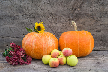 Autumn gardening composition. Two orange pumpkins, heap of ripe apples and buch of red chrysanthemums on old non paint wooden background. Space for text