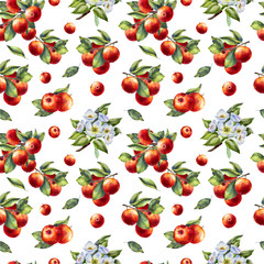 Watercolor seamless pattern with red apples, blossom branches and leaves on white background. Hand-painted.