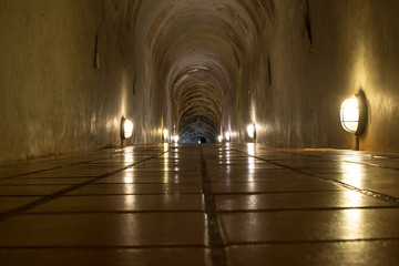Fototapeta premium the old tunnel of Wat Umong Suan Puthatham temple in Chiang Mai, Thailand