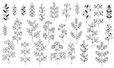 Twigs, leaves. Isolated graceful plants for design. Set of black vector illustrations on a white background. Can be used as a coloring book or as design elements for invitations, greetings, decoration