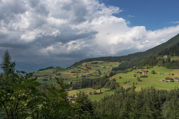 Fototapeta na wymiar Wald in Südtirol