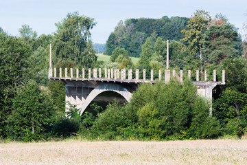 part of the ferroconcrete bridge is overgrown with shrubs and trees. bridge to nowhere
