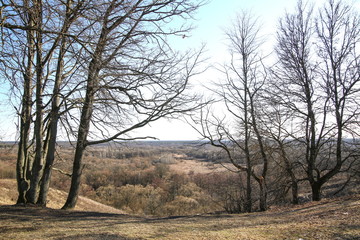 Early spring in the river valley.