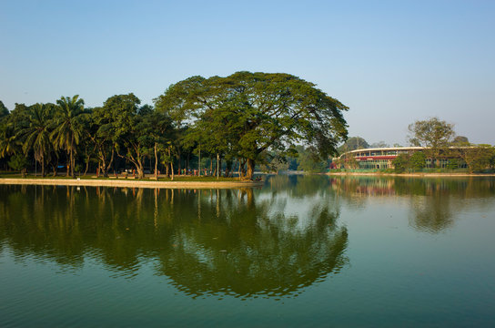 Trees reflecting in Kandawgyi Lake in Bogyoke Park (Bogyoke Aung San Park) in Yangon, Myanmar