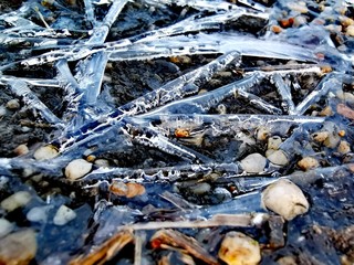 ice