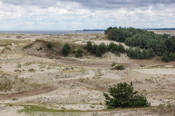 Sand dunes on the Kursh Spit on a cloudy summer day