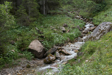 Kleiner Bach im Gebirge