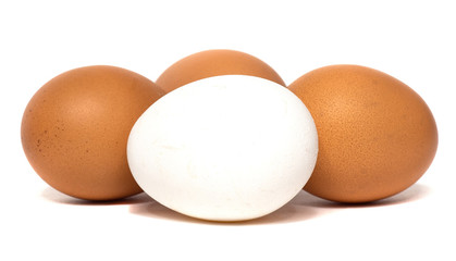 fresh chicken eggs isolated on a white background. Eggs as a source of protein.