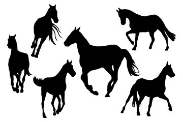 Race horses silhouettes kit. Clip art set on white background black and white