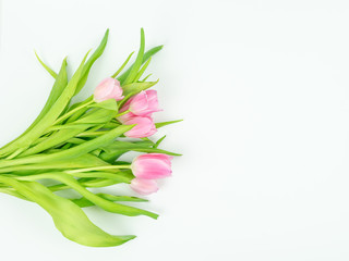 Bouquet of pink tulips on a white background Copy space to the right. Spring concept.
