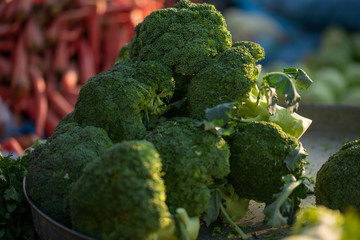 Fresh green organic broccoli displayed in market