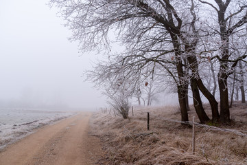 Łagodna zima na Podlasiu. Dolina Narwi. Krajobraz z mgłą i szronem. Polska