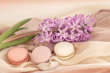 Three macaroons of different colors and different tastes and spring flowers, tender pastel background. Romantic morning