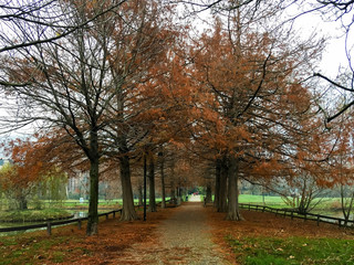City Park in Brescia
