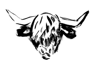 Ox, bull, cow on white background. Lunar horoscope sign ox, bull, cow. Chinese Happy new year 2021. Year of the ox. Lunar new year. Drawing ox, bull, cow ink