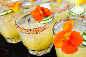 Fresh Drink summer cocktails 