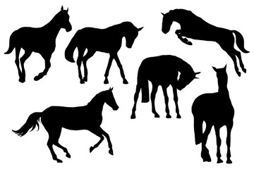 Racing horses silhouettes set on white background