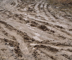 tracks in the sand