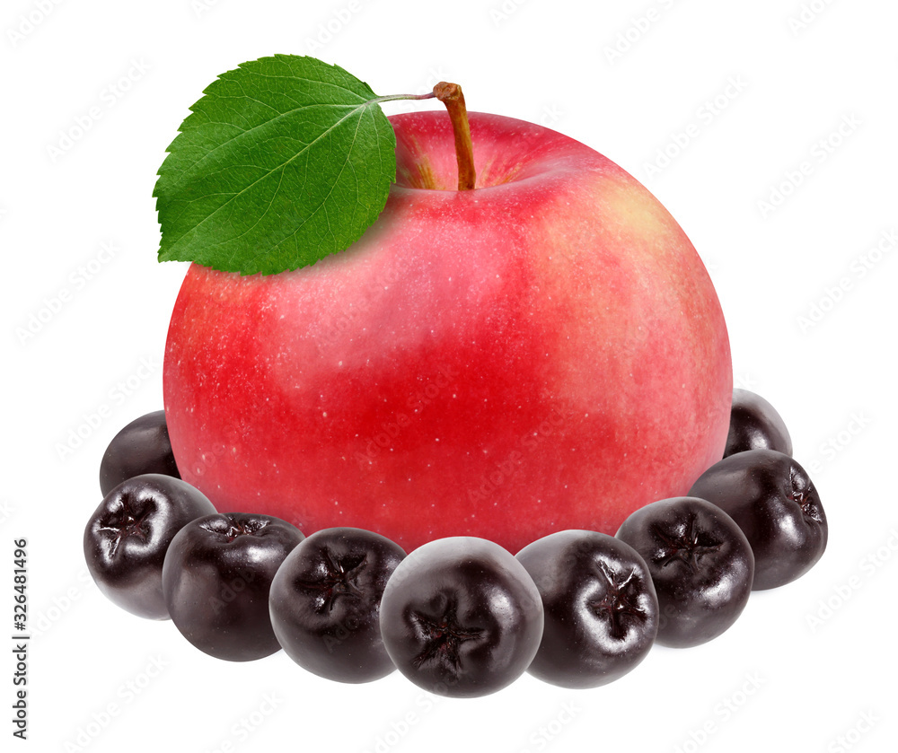 Wall mural red apple and black chokeberry isolated on a white background with a clipping path.