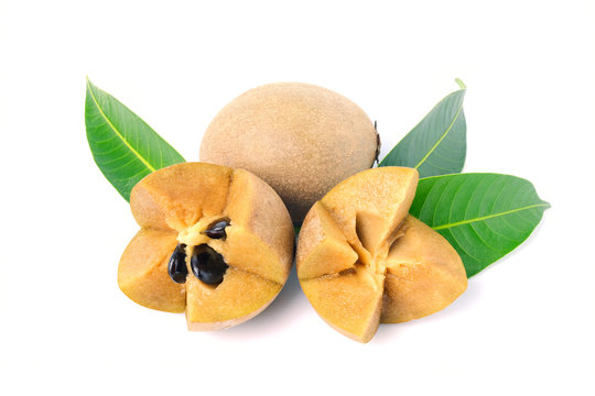 sapodilla fruit with green leaves isolated on the white background